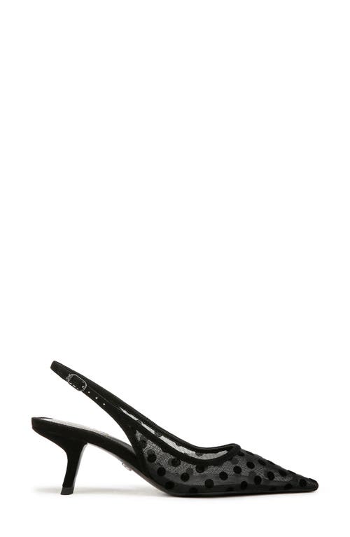 Sam Edelman Biankasling Womens Man Made Kitten Heels In Black/black Dot