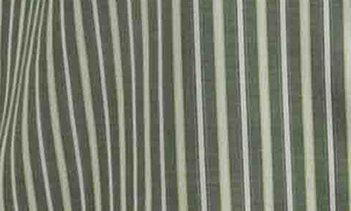 Foxcroft Sadie Stripe Ruffle Button-up Shirt In Green