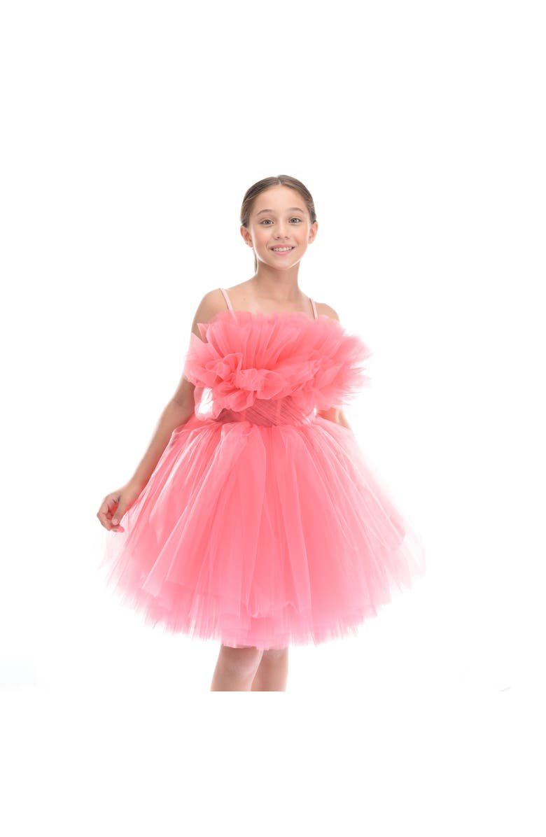 Tulleen Scalleta Dress, Alternate, color, Pink