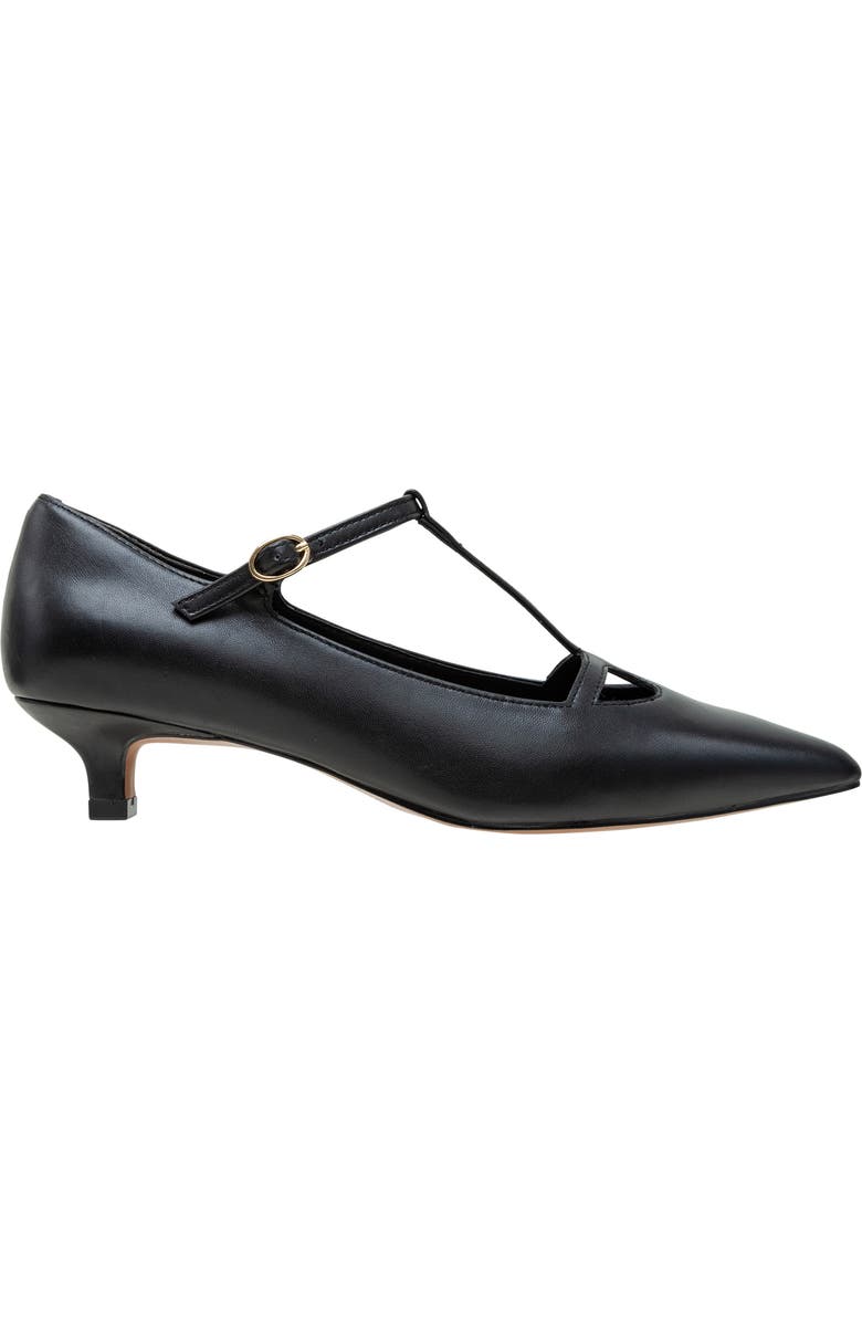 Linea Paolo Celia Pointed Toe T-Strap Pump, Alternate, color, Black