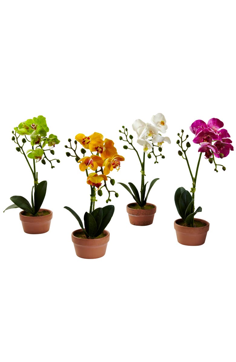 NEARLY NATURAL Phalaenopsis Orchid with Clay Vase, Main, color, Assorted