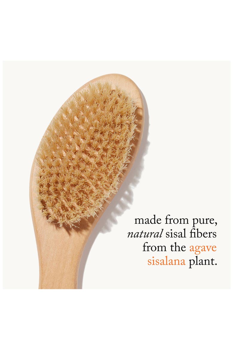 Ultimate Dry Brush, Alternate, color, NO COLOR