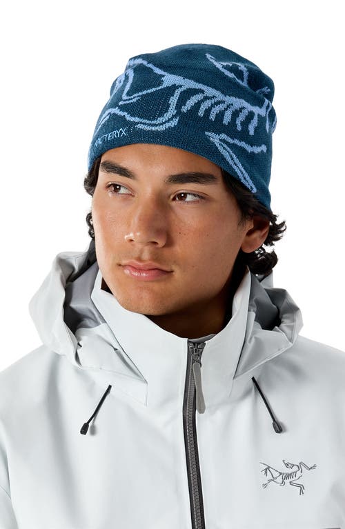 Arc'teryx Bird Head Merino Wool Blend Beanie In Blue