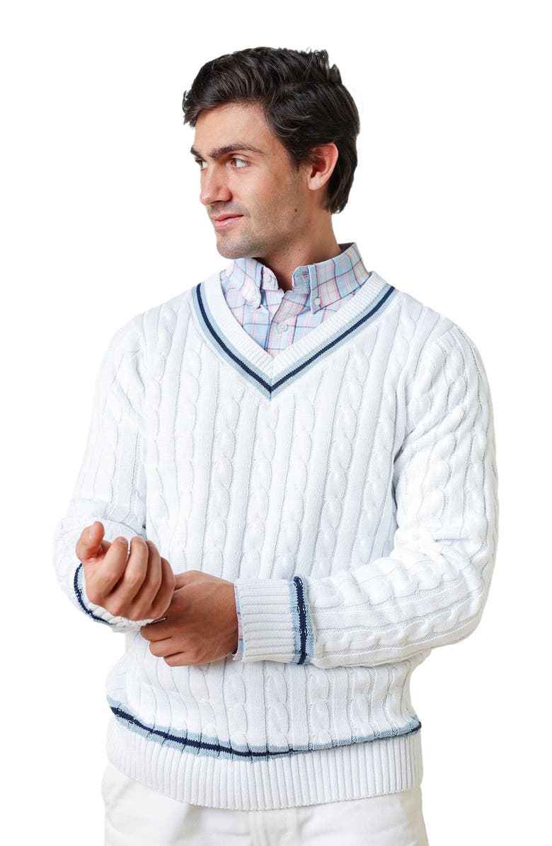 Hope & Henry Men's Organic V-Neck Cricket Sweater, Main, color,