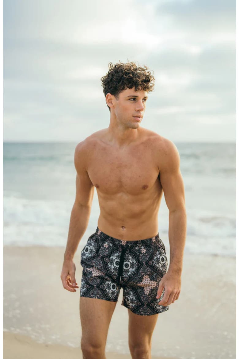Hudson Swim Shorts, Alternate, color, Black