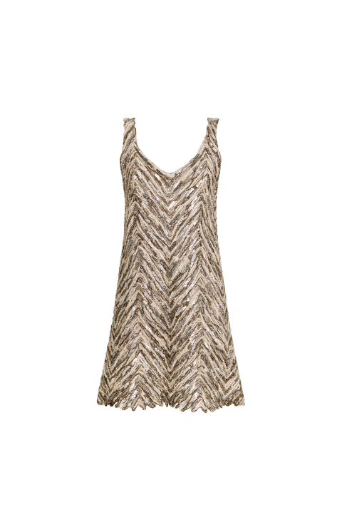 Dazzling Embroidery dress