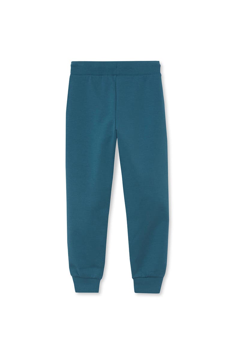 Boys Active Iron Knee Tech Pants, Alternate, color, Tourmaline