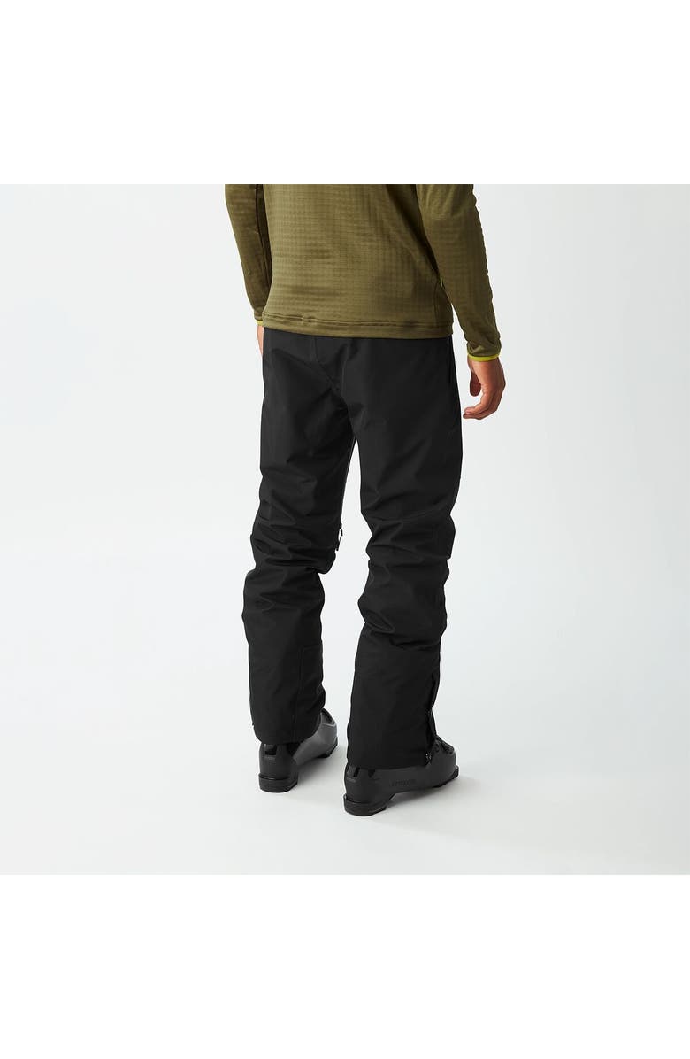 Picture Organic Picture Object Gore-Tex Pant - Men's, Alternate, color, Black