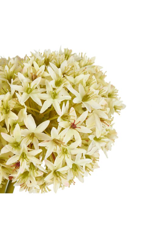Sonoma Sage Home Set Of 8 Tall Allium Artificial Stems In White
