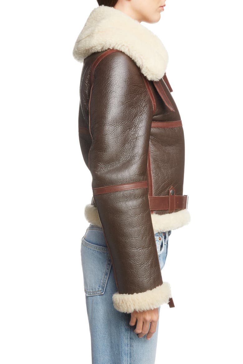 Leather Jacket with Genuine Shearling Trim, Alternate, color, DARK/BROWN BEIGE