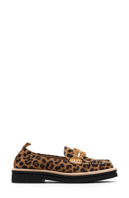 Donald Pliner Lomma Platform Loafer In Brown