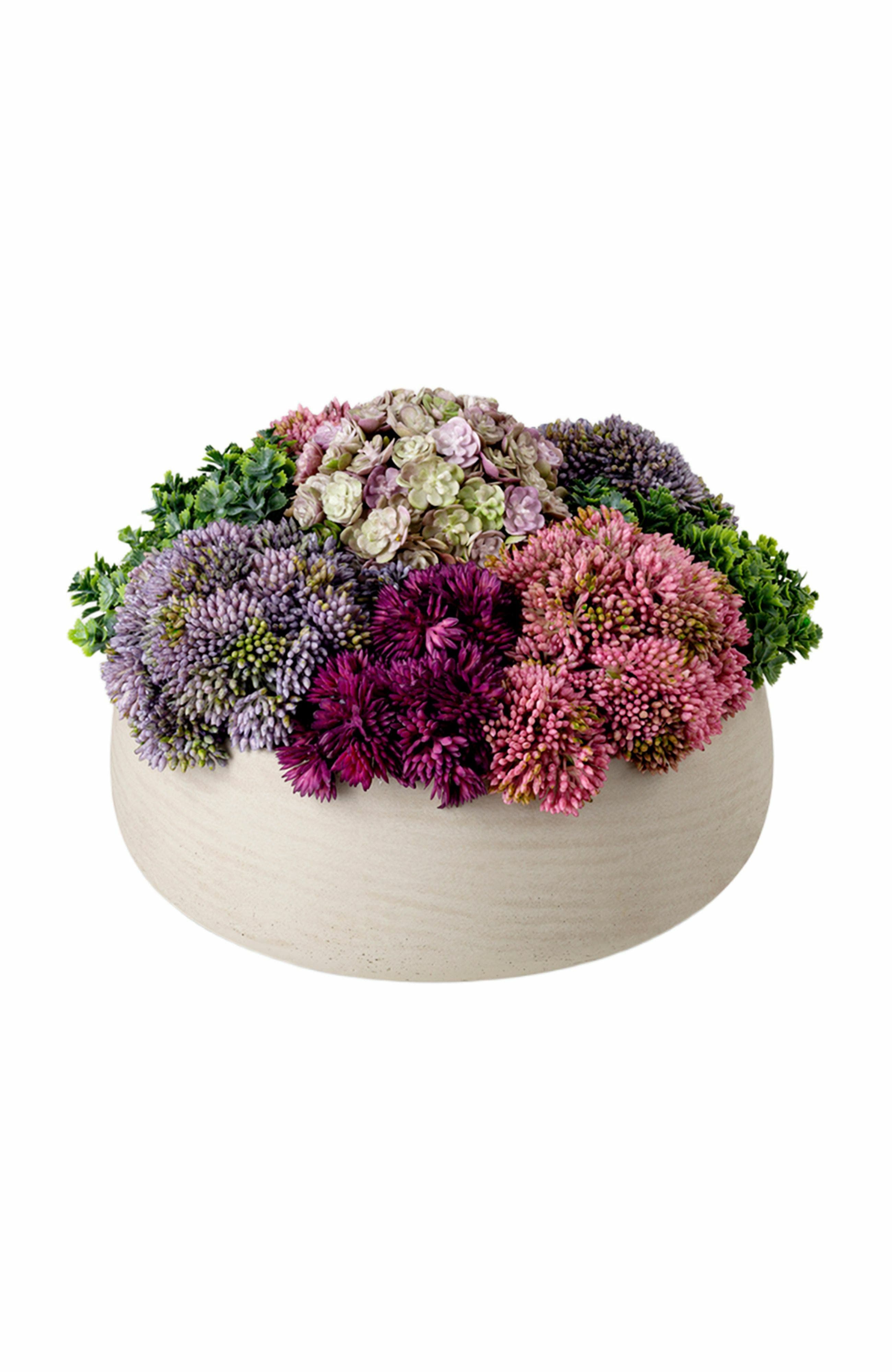 CocoBella Georgina Sedum Arrangement in Ash 