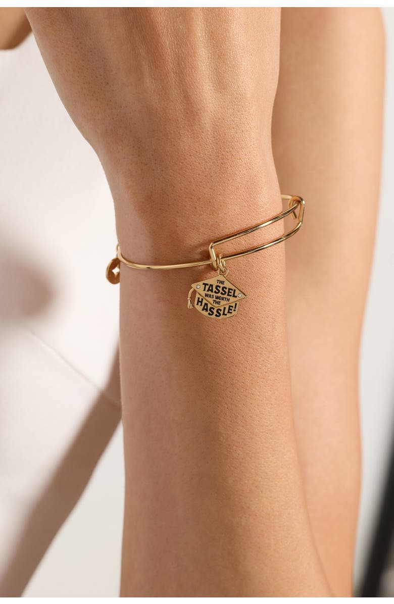 Alex and Ani "The Tassel Was Worth The Hassle" Charm Bangle, Alternate, color, 