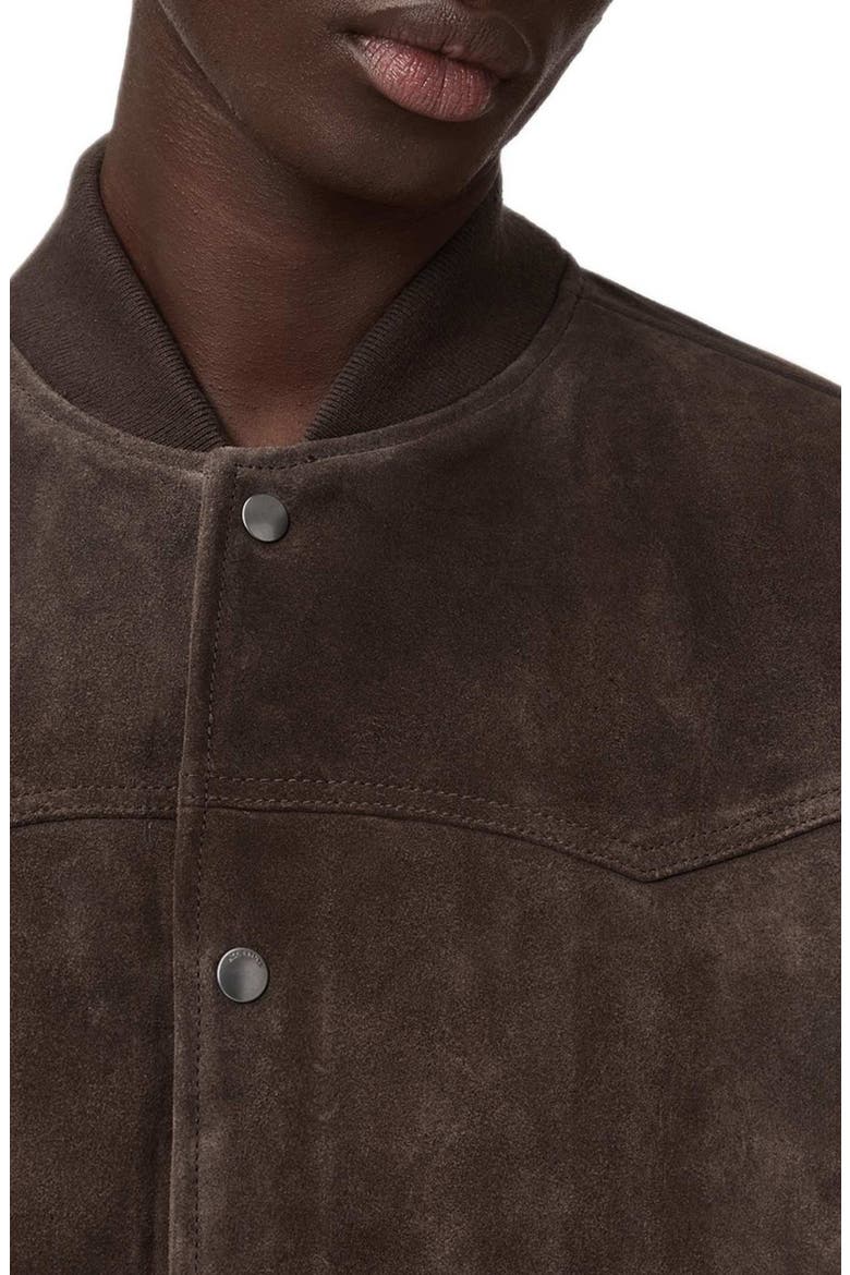 Stafford Suede Bomber Jacket, Alternate, color, WOODLAND BROWN