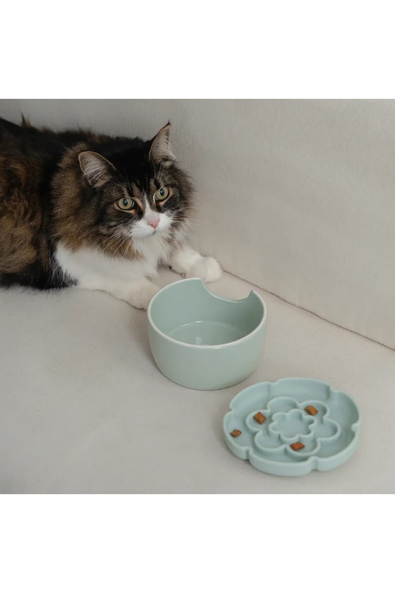 Flower Elevated Slow Feeder, Sage Green, Silicone Cat Dish, Alternate, color, Green