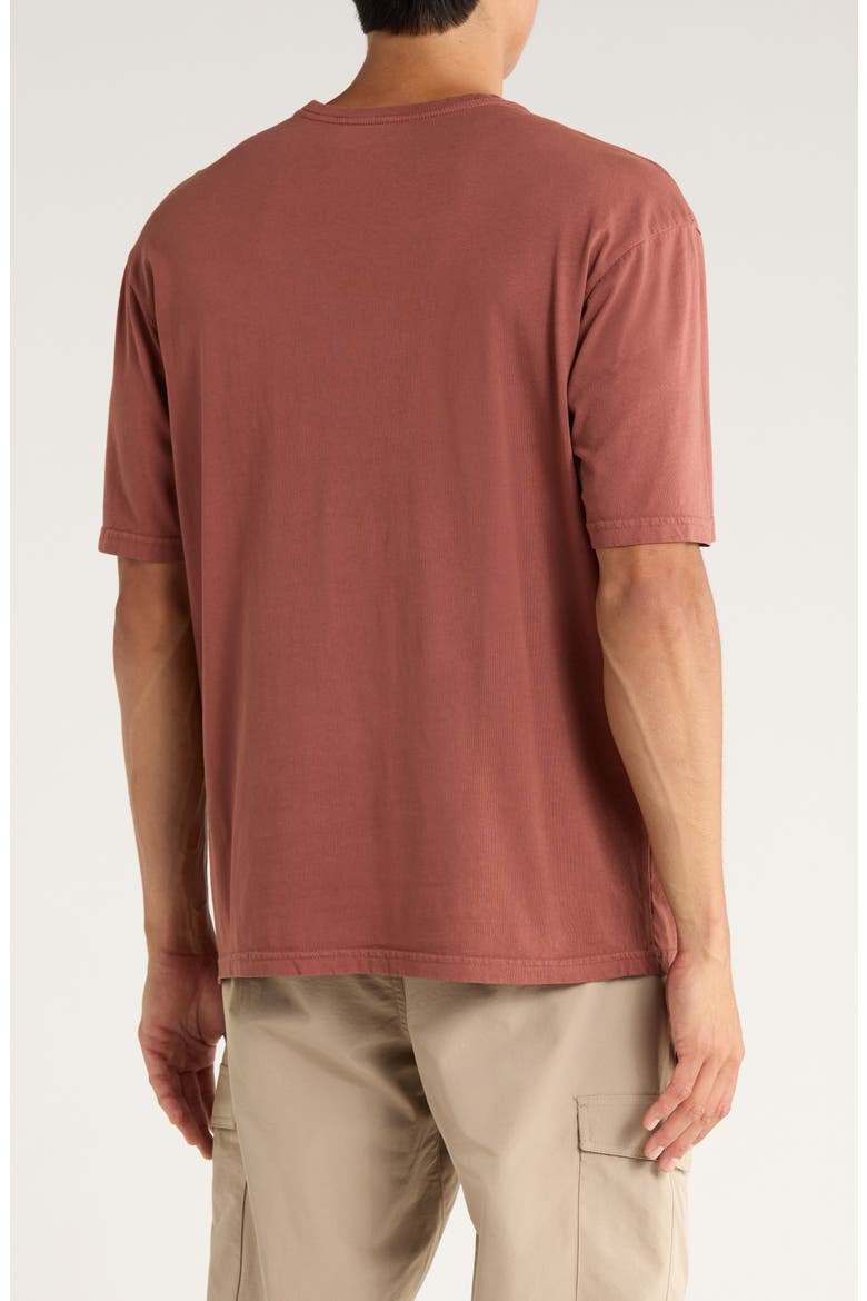 Relaxed Fit Embroidered Heavyweight Cotton T-Shirt, Alternate, color, RUSSET