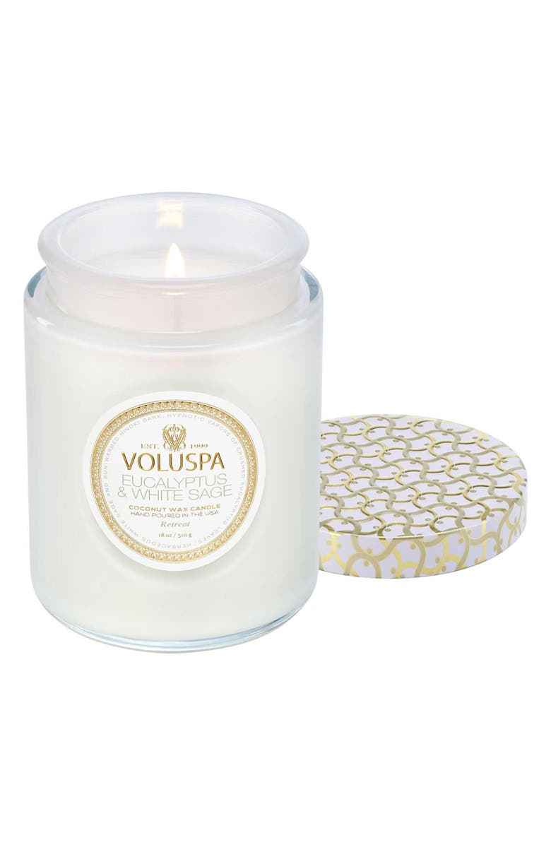 Voluspa Eucalyptus & White Sage Large Jar Candle, Main, color, Eucalyptus & White Sage