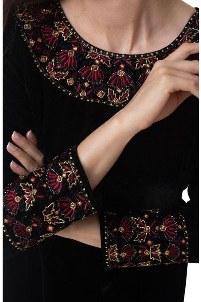 Arial Velvet Mini Dress Embroidered, Alternate, color, Black