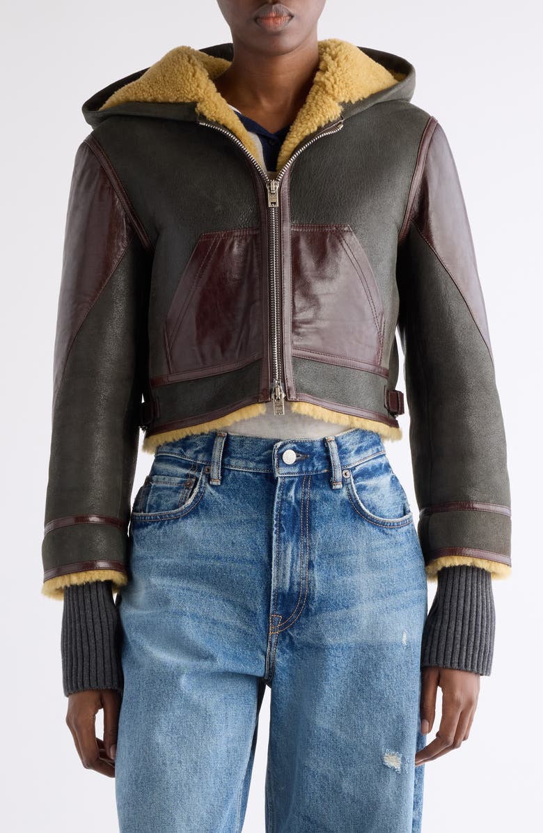 Acne Studios Litera Genuine Shearling & Leather Hooded Jacket, Main, color, Brown/ Beige