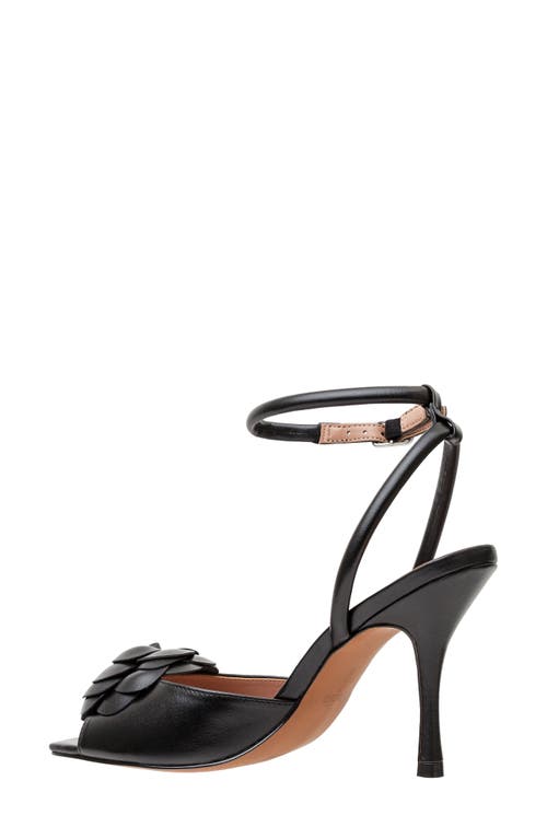 Linea Paolo Heather Ankle Strap Sandal In Black