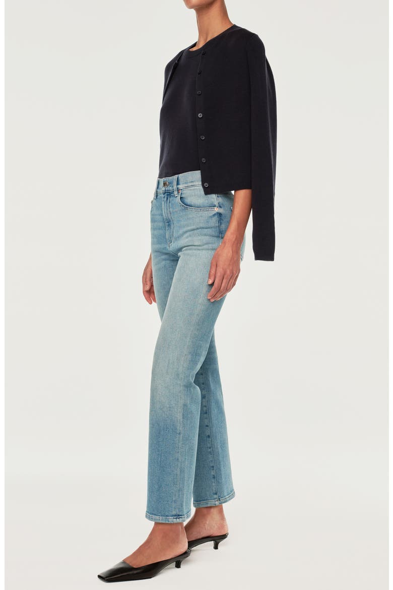 Patti High Waist Ankle Straight Leg Jeans, Alternate, color, RIDGE DL AIRBRUSHED