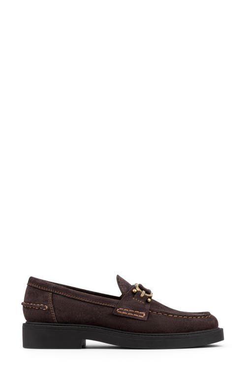 Donald Pliner Galilee Bit Loafer In Brown