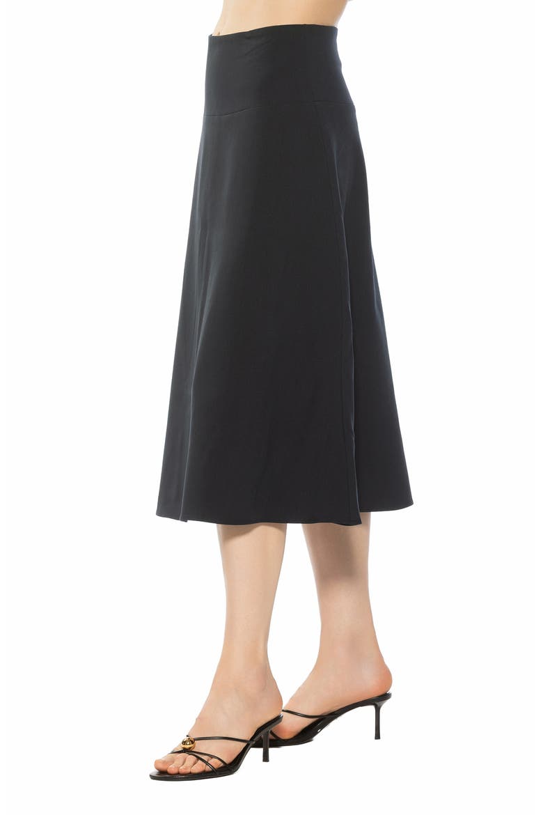 Maris Flared Midi Skirt, Alternate, color, NAVY