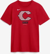 Nike Men's Nike Red Cincinnati Reds 2026 City Connect Large Logo T-Shirt