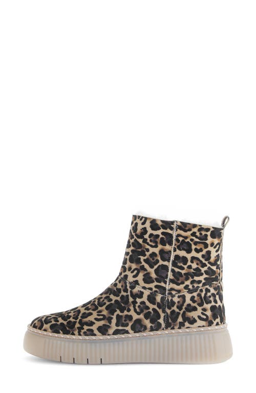 Gabor Genuine Shearling Platform Boot In Animal Print