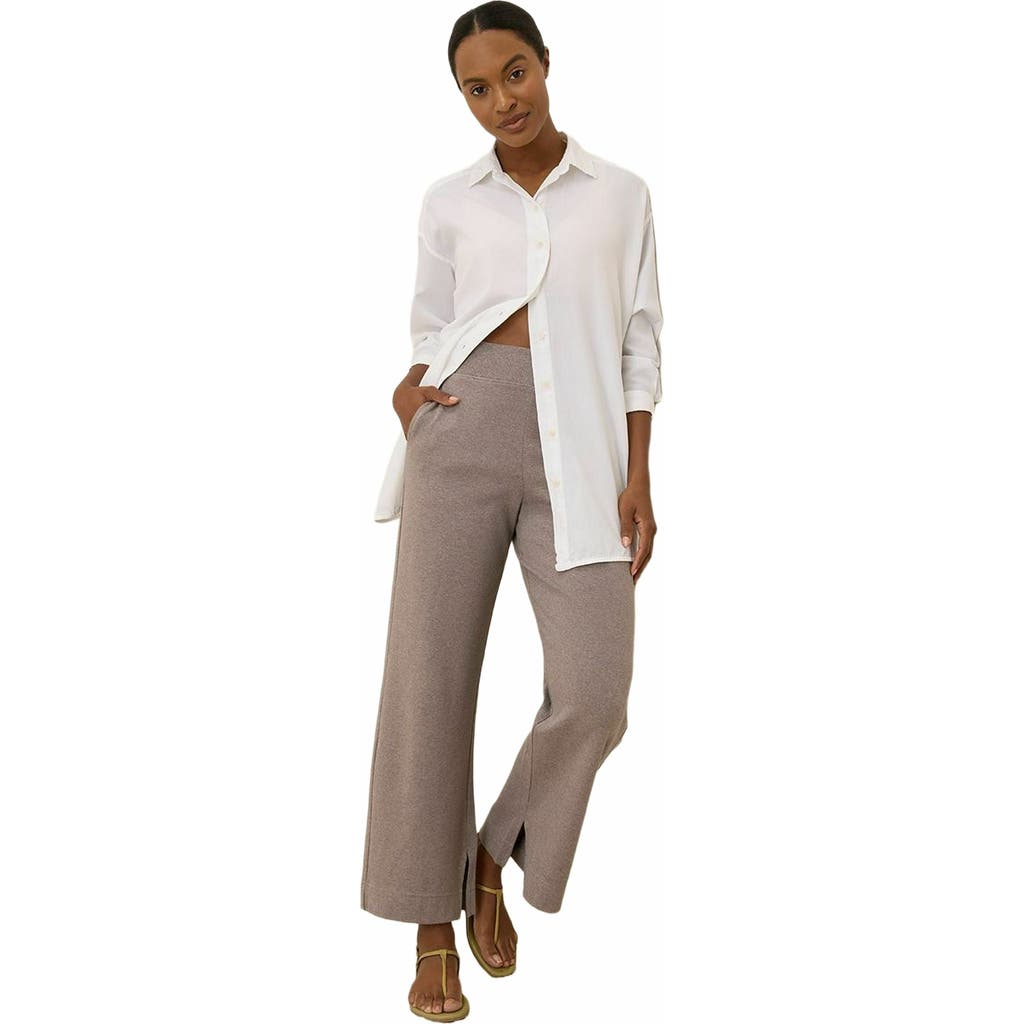 Pact Organic Cotton Airplane Tapered Leg Pant