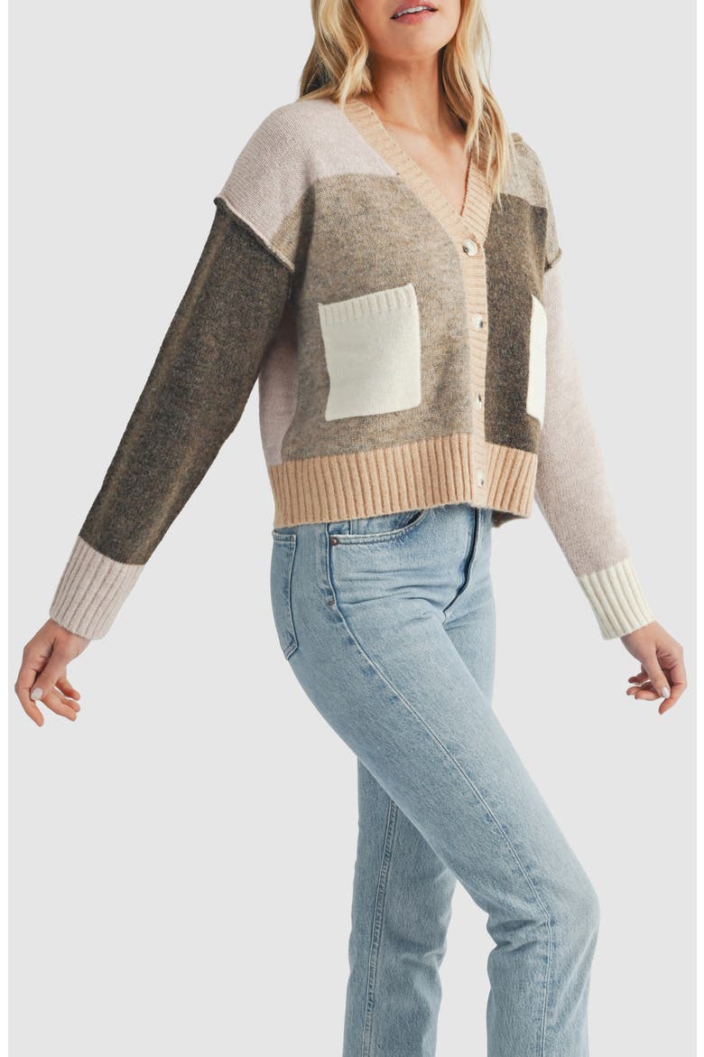 Colorblock V-Neck Cardigan, Alternate, color, TAN MULTI