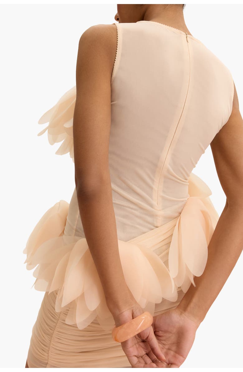 Malva Florea Draped Mini Dress With Oversized Florals, Alternate, color, Light Apricot