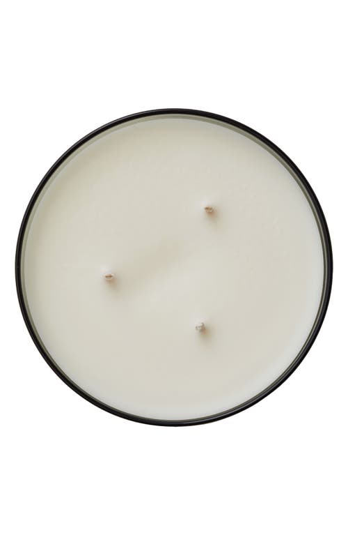 Ashley & Co Waxed Perfume Xl Scented Candle In Gray