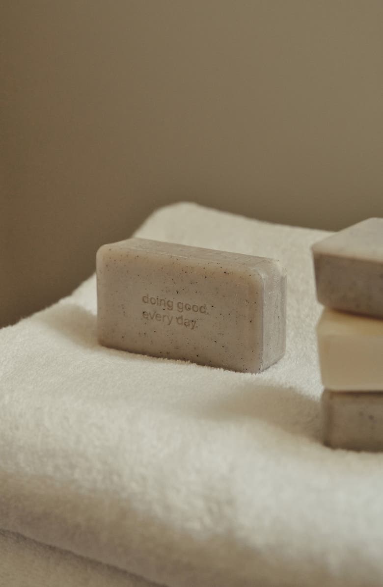 evolvetogether Exfoliating Bar Soap, Alternate, color, 