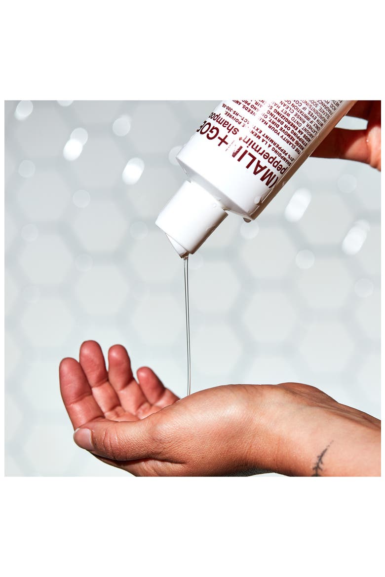 Jumbo Peppermint Shampoo $104 Value, Alternate, color, NO COLOR