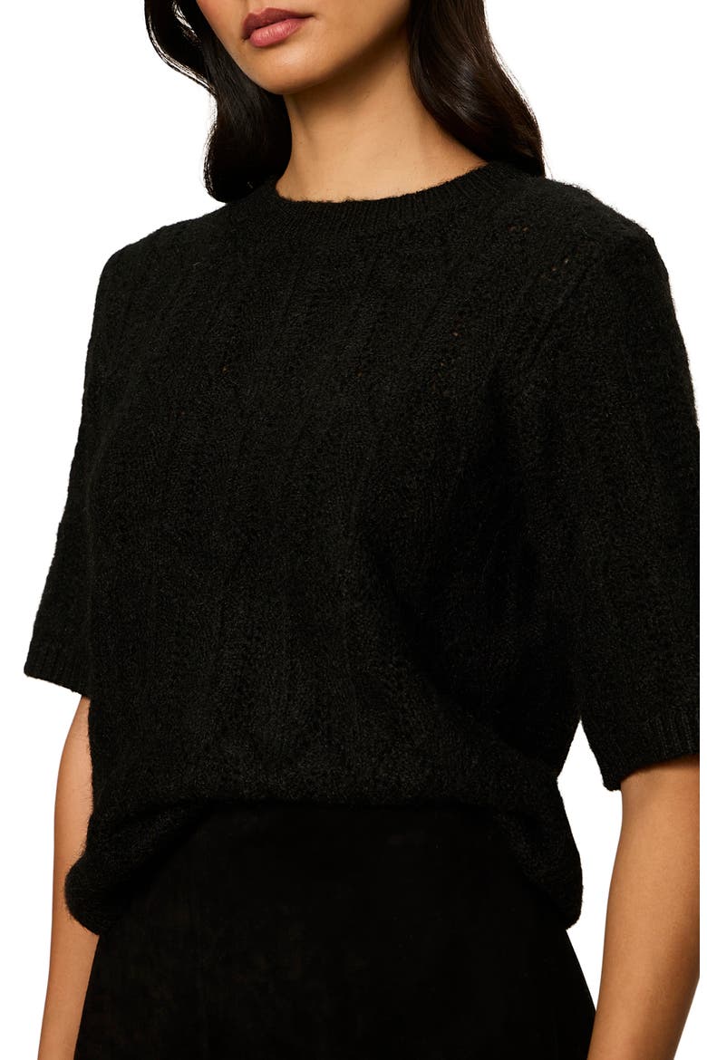 Pointelle Short Sleeve Sweater, Alternate, color, BLACK