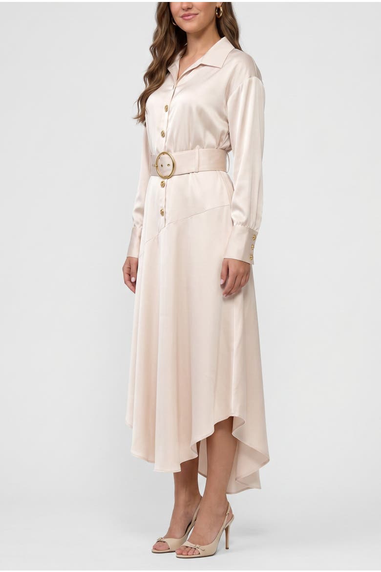 Gilian Long Sleeve Satin Shirt Dress, Alternate, color, Light Silver Grey