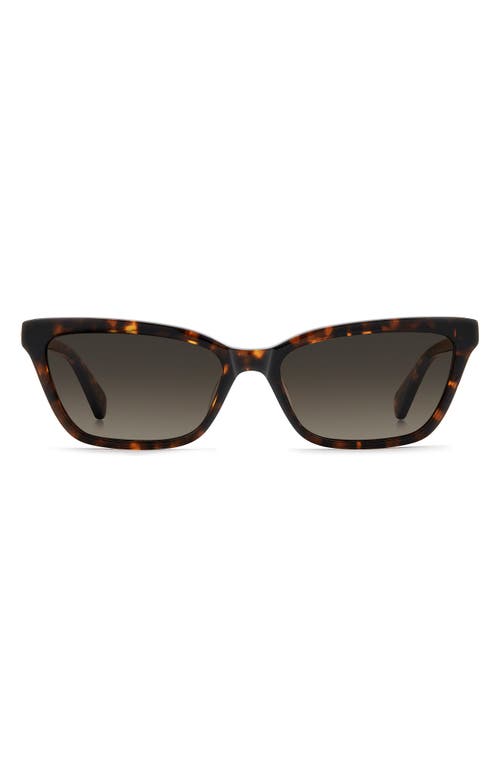 Kate Spade New York Aisha 55mm Gradient Ectangular Sunglasses In Brown