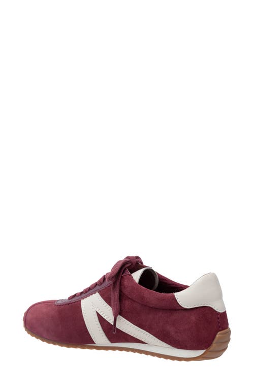 Linea Paolo Kova Sneaker In Burgundy
