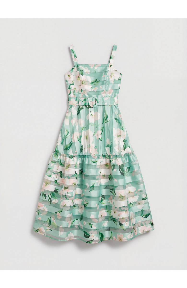 Coast Burnout Organza Midi Dress, Alternate, color, Sage
