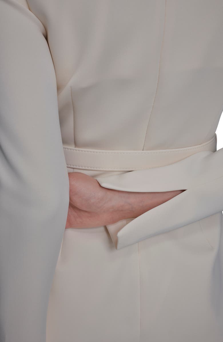 BCBG Belted Long Sleeve Sheath Dress, Alternate, color, Ecru