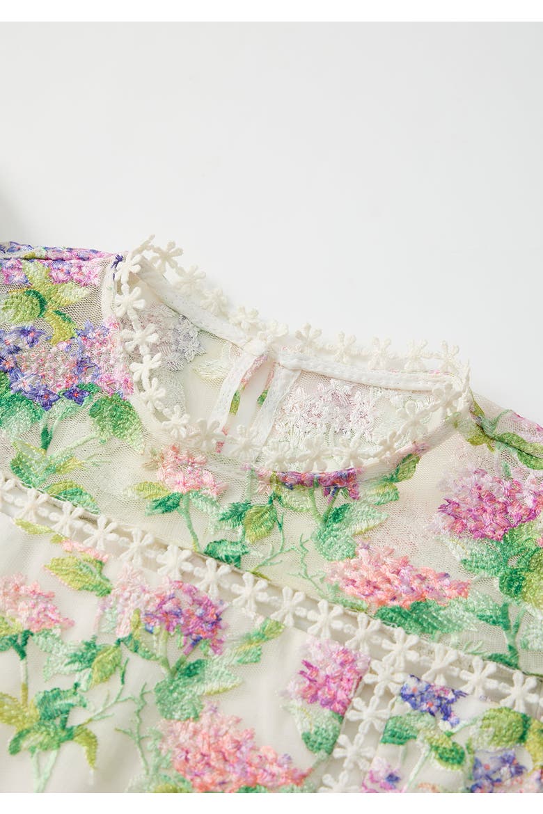 Clementine Embroidered Mini Dress, Alternate, color, Floral