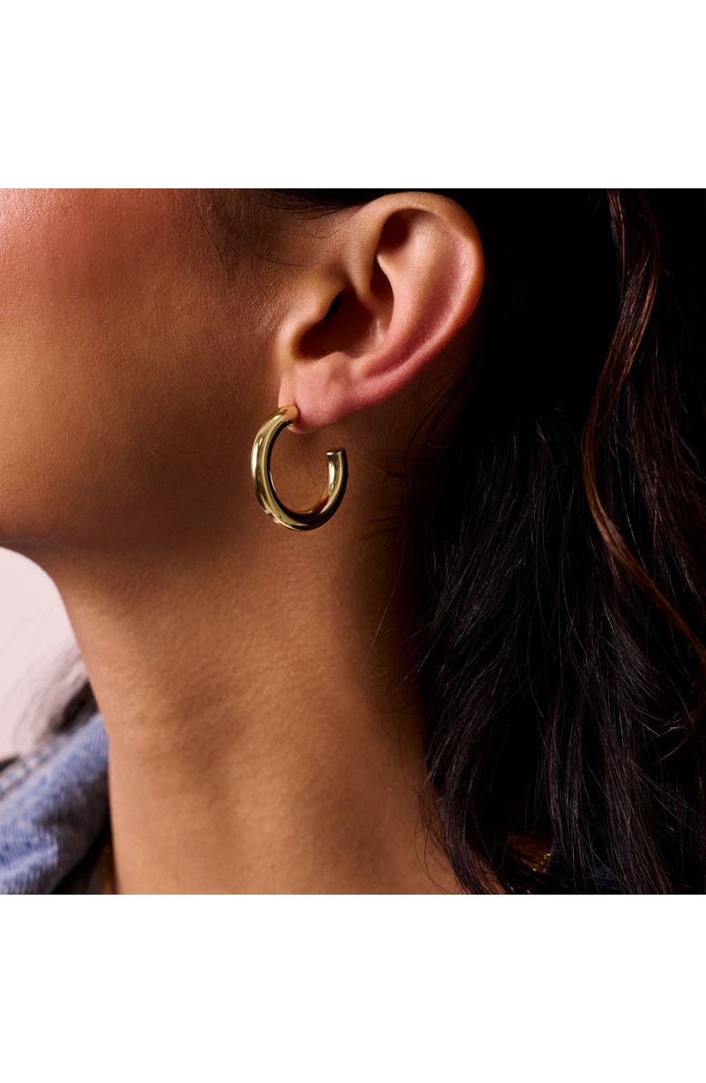 Electric Picks Holden Hoops, Alternate, color, 