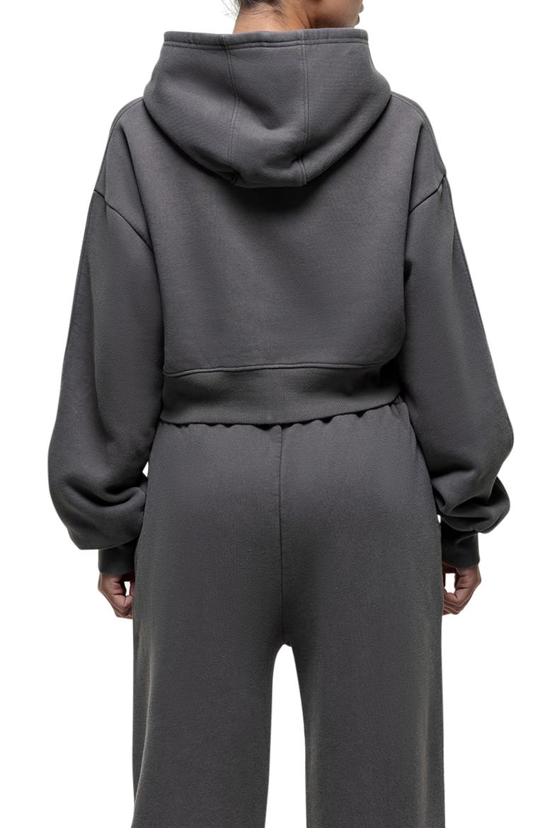 Vintage Grey  Crop Zip Hoodie, Alternate, color, Grey