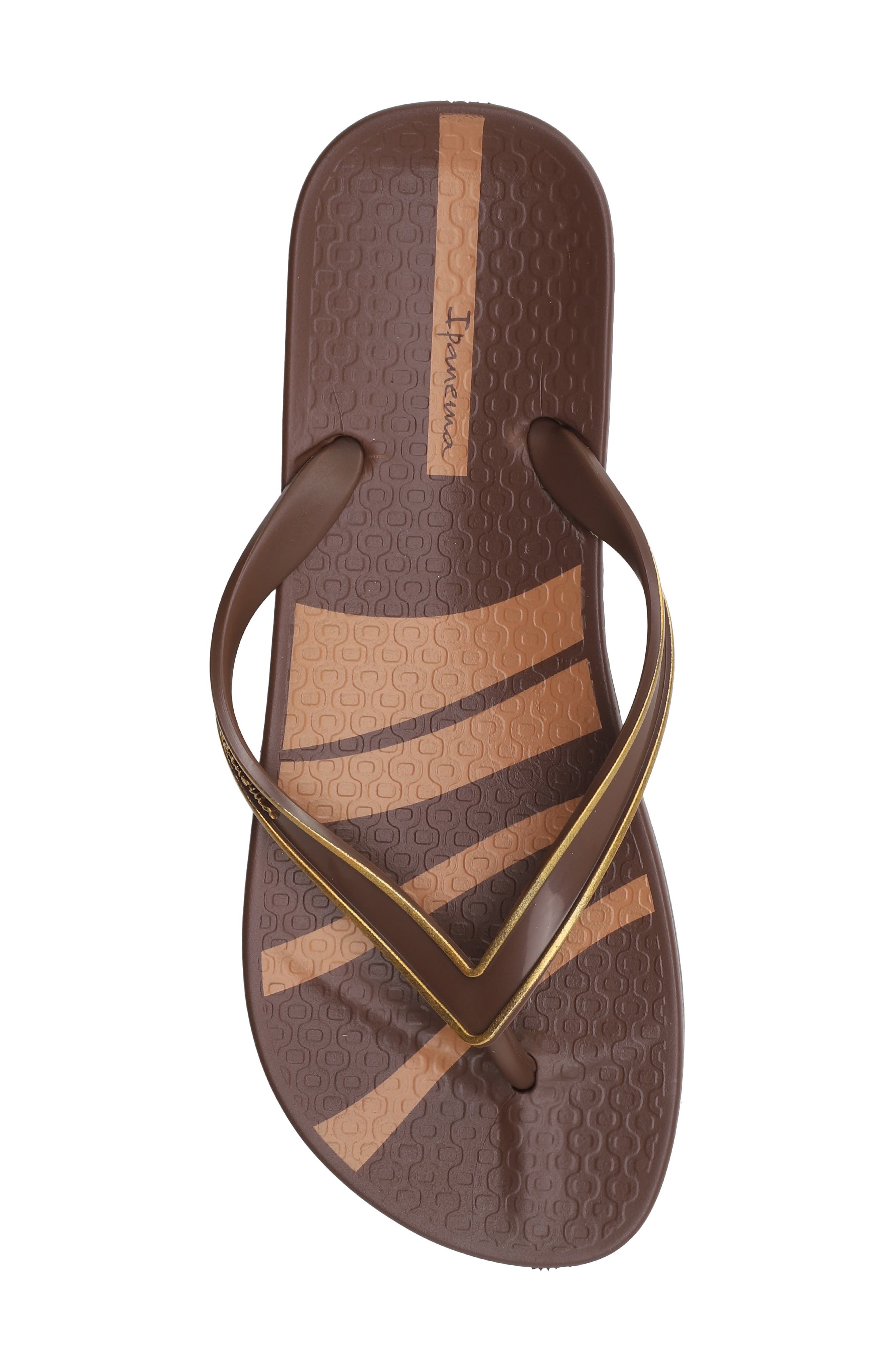Anatomica Linea Flip Flop, Alternate, color, BROWN/BROWN/COPPER