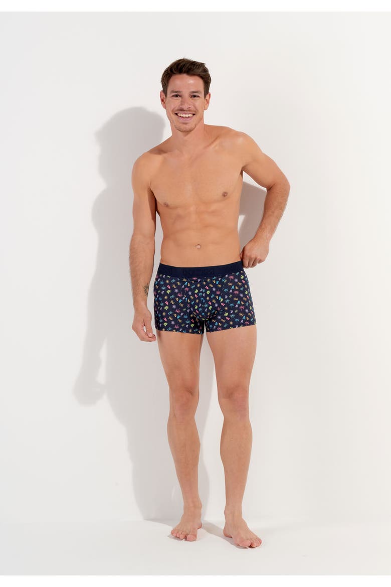 California Boxer Briefs Ho1, Alternate, color, Multico Print