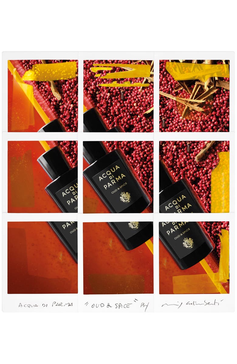 Acqua di Parma Signatures of the Sun Oud & Spice Eau de Parfum, Alternate, color, 