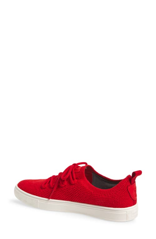 YY NATION YY NATION CIRRUS HEMP & WOOL LOW TOP SNEAKER 