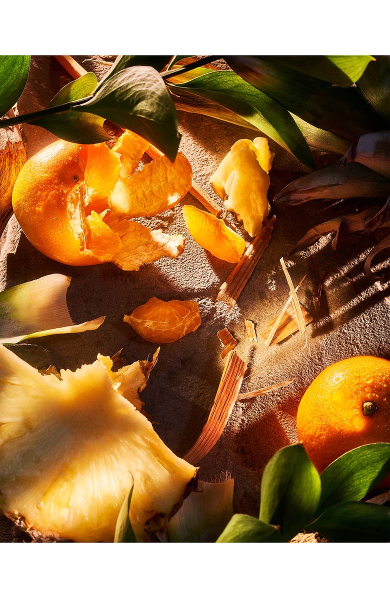 ROJA APEX Pour Homme Parfum, Alternate, color, 