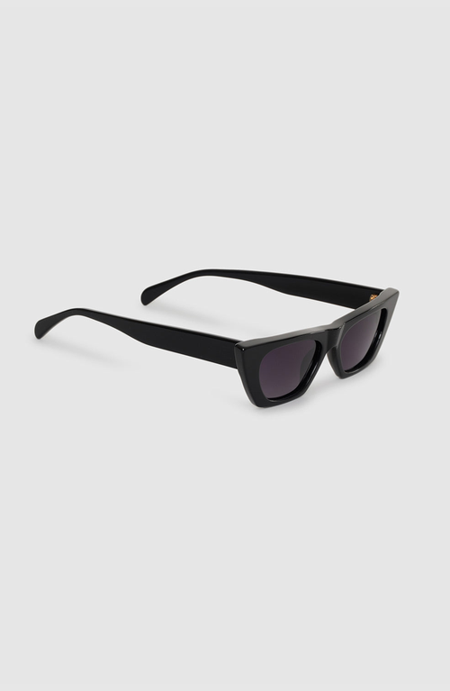 Anine Bing Pierre Pointed-frame Sunglasses In Black